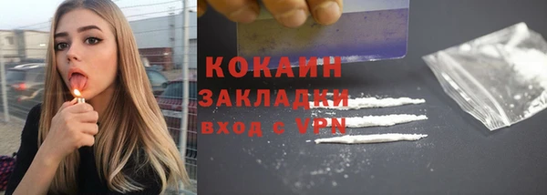 твердый Няндома