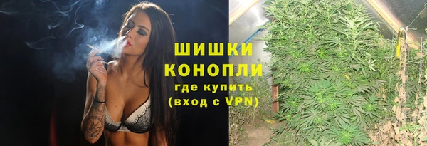 твердый Няндома