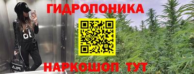 метадон Гусев
