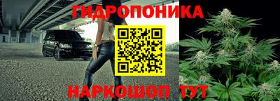 шишки Гусь-Хрустальный