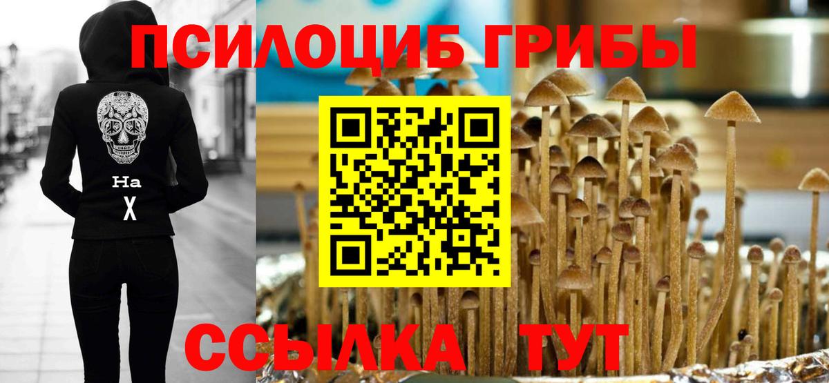Псилоцибиновые грибы Psilocybe Янаул